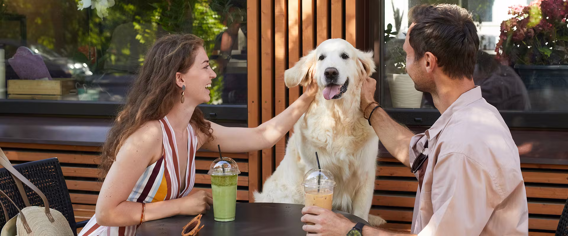 Cafe and Pub Manners for Your Dog